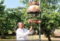 Hari Apriyanto saat memberi pakan burung perkutut di penangkarannya di Desa Sladi, Kejayan, Jumat (19/6/2026). (Foto Dok Ho/RadarBangsa.co.id)