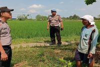 Anggota Polsek Tikung memantau persawahan warga di Dusun Takeran, Desa Takeranklating, Kecamatan Tikung, dalam patroli program P2B. (Foto Dok Ho/RadarBangsa.co.id)