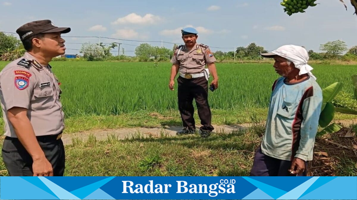 Anggota Polsek Tikung memantau persawahan warga di Dusun Takeran, Desa Takeranklating, Kecamatan Tikung, dalam patroli program P2B. (Foto Dok Ho/RadarBangsa.co.id)