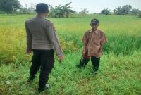 Anggota Polsek Tikung memantau Program Pekarangan Pangan Bergizi di Dusun Guminingrejo, Kecamatan Tikung, Sabtu (27/6/2026). (Foto Dok Ho/RadarBangsa.co.id)