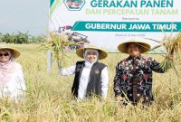 Produksi Padi Jatim,
Khofifah Indar Parawansa,
Ketahanan Pangan Nasional
