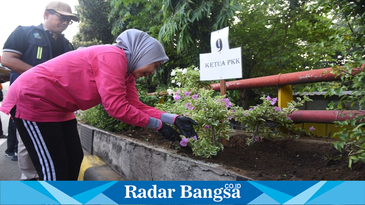 Ketua TP PKK Kabupaten Sidoarjo dr. Sriatun Subandi memimpin penanaman bugenvil di Flyover Jenggolo, Minggu, 14 Juni 2026. (Foto Dok Ho/RadarBangsa.co.id)