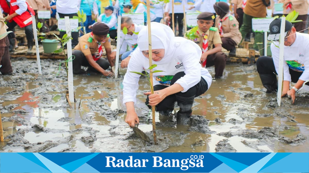 Gubernur Jatim Khofifah Indar Parawansa saat mengajak masyarakat memasifkan gerakan tanam mangrove pada peringatan Hari Mangrove Sedunia 2026, Minggu (26/7). (Foto Dok Ho/RadarBangsa.co.id)