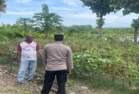 Kanit Binmas Polsek Laren bersama petani melakukan pengecekan lahan tomat di Desa Gelap, Kecamatan Laren, Jumat (24/7/2026). (Foto Dok Ho/RadarBangsa.co.id)