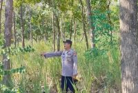 Petugas Polsek Laren memantau kawasan rawan karhutla di Desa Gelap pada Sabtu, 18 Juli 2026. (Foto Dok Ho/RadarBangsa.co.id)