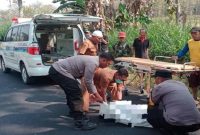 Petugas mengevakuasi korban kecelakaan antara sepeda motor dan truk di Desa Ardirejo, Kecamatan Sambeng, Lamongan, Selasa (21/7/2026). (Foto Dok Ho/RadarBangsa.co.id)