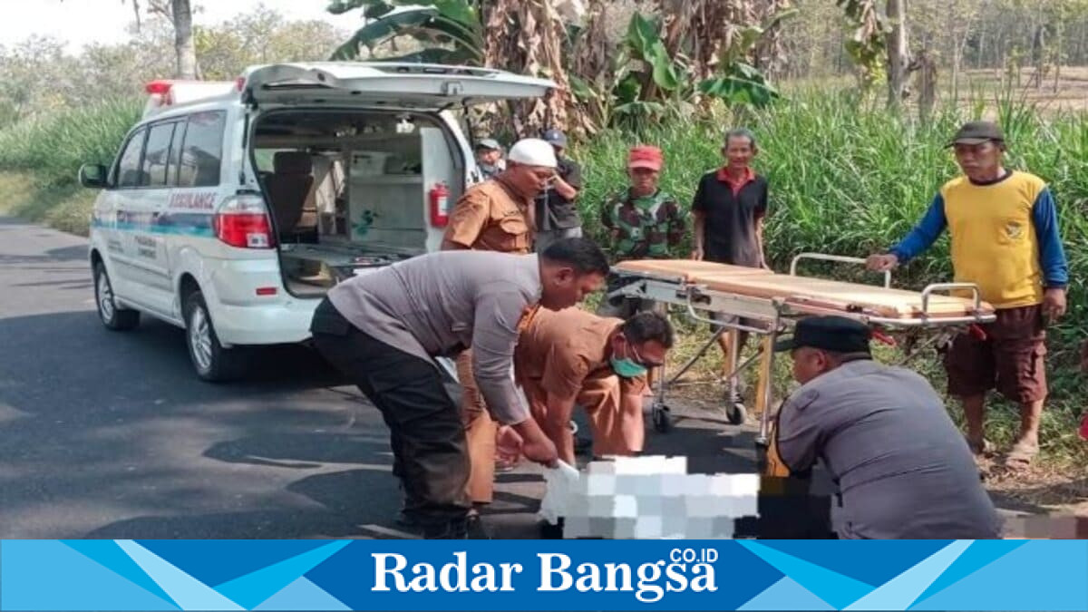 Petugas mengevakuasi korban kecelakaan antara sepeda motor dan truk di Desa Ardirejo, Kecamatan Sambeng, Lamongan, Selasa (21/7/2026). (Foto Dok Ho/RadarBangsa.co.id)