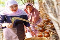 Gubernur Jawa Timur Khofifah Indar Parawansa memanen salak madu di Desa Wonoagung, Kasembon, Malang, Senin (13/7/2026). (Foto Dok Ho/RadarBangsa.co.id)