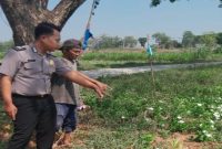 Brigadir Dwi Bai Asmoro bersama warga memantau perkembangan tanaman pangan di Desa Wonokromo, Kamis (23/7/2026). (Foto Dok Ho/RadarBangsa.co.id)