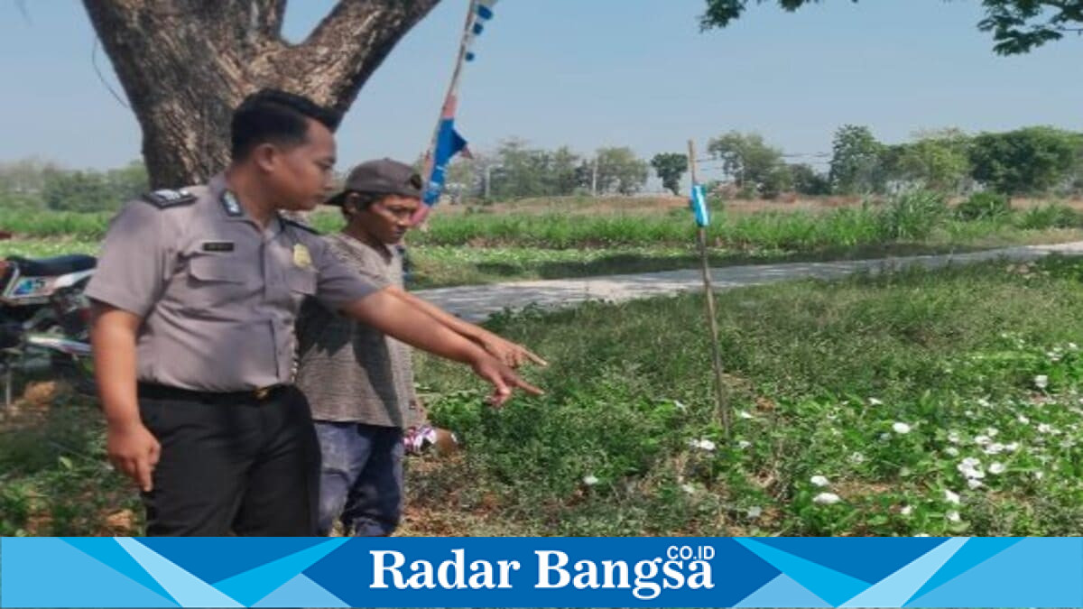 Brigadir Dwi Bai Asmoro bersama warga memantau perkembangan tanaman pangan di Desa Wonokromo, Kamis (23/7/2026). (Foto Dok Ho/RadarBangsa.co.id)