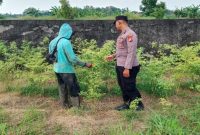 Personel Polsek Laren mengecek lahan cabai rawit milik petani di Desa Gampangsejati, Kecamatan Laren, Lamongan, Selasa (28/7/2026). (Foto Dok Ho/RadarBangsa.co.id)
