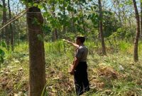 Petugas jaga Polsek Laren melaksanakan pengawasan kawasan hutan guna mencegah karhutla dan pembalakan liar, Jumat (23/7/2026). (Foto Dok Ho/RadarBangsa.co.id)