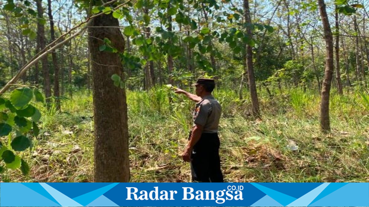 Petugas jaga Polsek Laren melaksanakan pengawasan kawasan hutan guna mencegah karhutla dan pembalakan liar, Jumat (23/7/2026). (Foto Dok Ho/RadarBangsa.co.id)