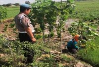 Personel Polsek Tikung memantau lahan Program Pekarangan Pangan Bergizi (P2B) di Dusun Tinaro, Desa Dukuhagung, Senin (13/7/2026). (Foto Dok Ho/RadarBangsa.co.id)
