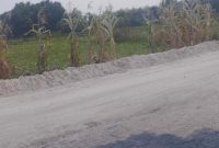 Lokasi pekerjaan rekonstruksi peningkatan Jalan Tikung–Sumberkerep di Kecamatan Tikung, Kabupaten Lamongan, Senin (7/7/2026), dipenuhi debu yang dikeluhkan warga dan pengguna jalan. (Foto Dok/RadarBangsa.co.id)