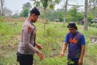 Personel Polsek Laren bersama petani melakukan pengecekan tanaman cabai rawit di lahan Perhutani Desa Gampangsejati, Kecamatan Laren, Lamongan, Jumat (31/7/2026). (Foto Dok Ho/RadarBangsa.co.id)