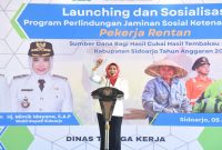 Wakil Bupati Sidoarjo Hj. Mimik Idayana menyerahkan kartu kepesertaan BPJS Ketenagakerjaan kepada perwakilan pekerja rentan di Pendopo Delta Wibawa, Sidoarjo, Rabu (5/8/2026). (Foto Dok Ho/RadarBangsa.co.id).