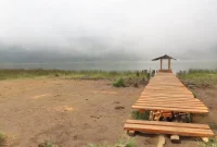 Dermaga Danau Taman Hidup setelah direnovasi secara gotong royong oleh BBKSDA Jawa Timur dan masyarakat sekitar. (Foto: BBKSDA Jawa Timur/HO RadarBangsa.co.id)