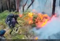 Petugas gabungan melakukan penanganan kebakaran hutan dan lahan di kawasan Gunung Arjuno melalui jalur Tretes, Prigen, Pasuruan, Kamis (20/8/2026). (Foto Dok Ho/RadarBangsa.co.id)