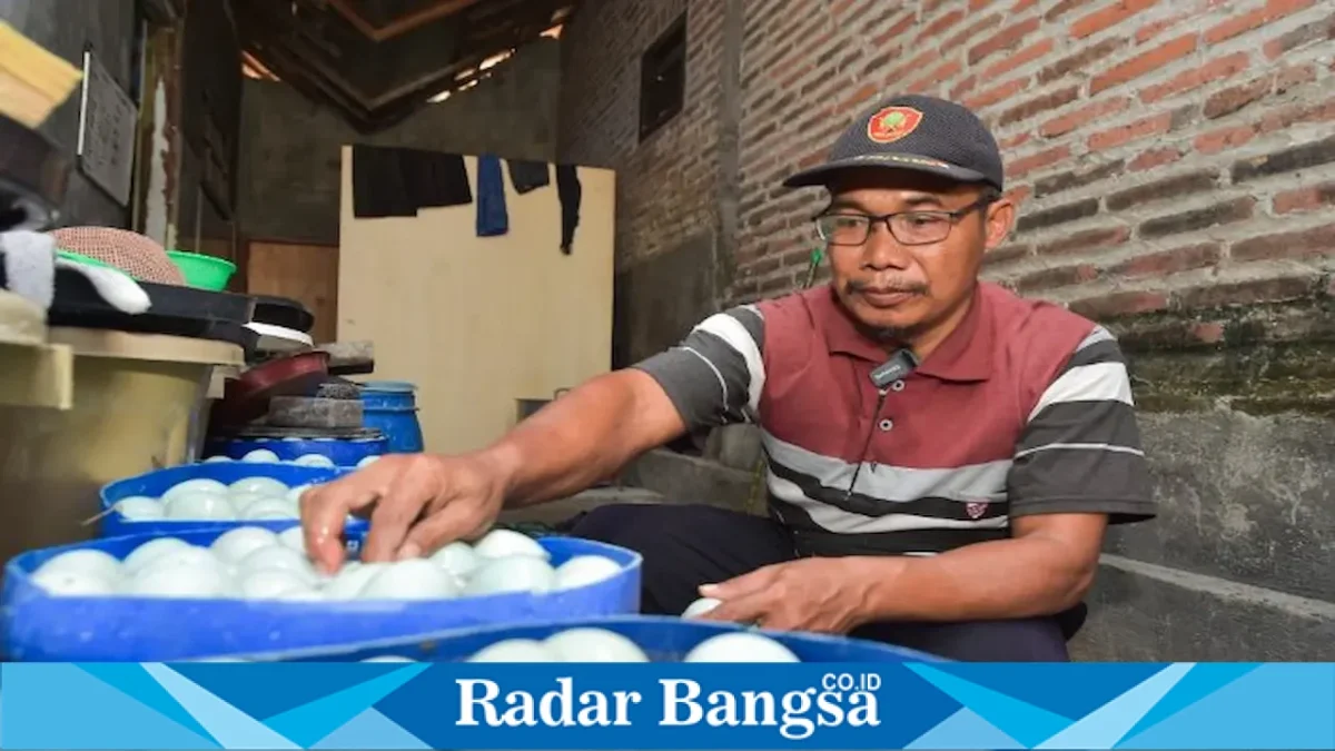 Umar Faruq, peternak sekaligus Kepala Dusun Tawangsari, menunjukkan telur asin produksi Kampung Bebek di Desa Kejapanan, Gempol, Pasuruan, Kamis (20/8/2026). (Foto Dok Ho/RadarBangsa.co.id)
