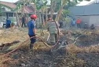 Polisi bersama petugas Damkar memadamkan kebakaran lahan kosong di Jalan Paviliun Lamongan, Rabu (19/8/2026). (Foto Dok Ho/RadarBangsa.co.id)
