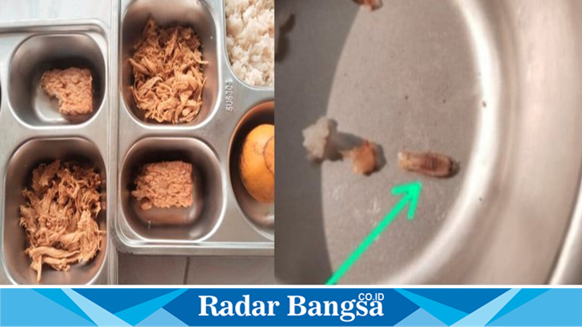 Foto dugaan ulat dalam nasi menu Program Makan Bergizi Gratis (MBG) di Desa Tawangrejo, Kecamatan Turi, Kabupaten Lamongan. Foto Dok Ho/RadarBangsa.co.id).