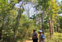 Patroli KRYD antisipasi Karhutla di kawasan hutan Desa Gampangsejati, Minggu 9 Agustus 2026. (Foto Dok Ho/RadarBangsa.co.id)