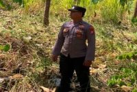 Personel Polsek Laren melaksanakan patroli antisipasi kebakaran hutan dan lahan di kawasan hutan Desa Gelap, Kecamatan Laren, Lamongan, Rabu (5/8/2026). (Foto Dok Ho/RadarBangsa.co.id)  