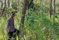 Personel Polsek Laren melaksanakan patroli antisipasi kebakaran hutan dan lahan di kawasan hutan Desa Gampangsejati, Lamongan, Sabtu (1/8/2026). Foto Dok Ho/RadarBangsa.co.id.