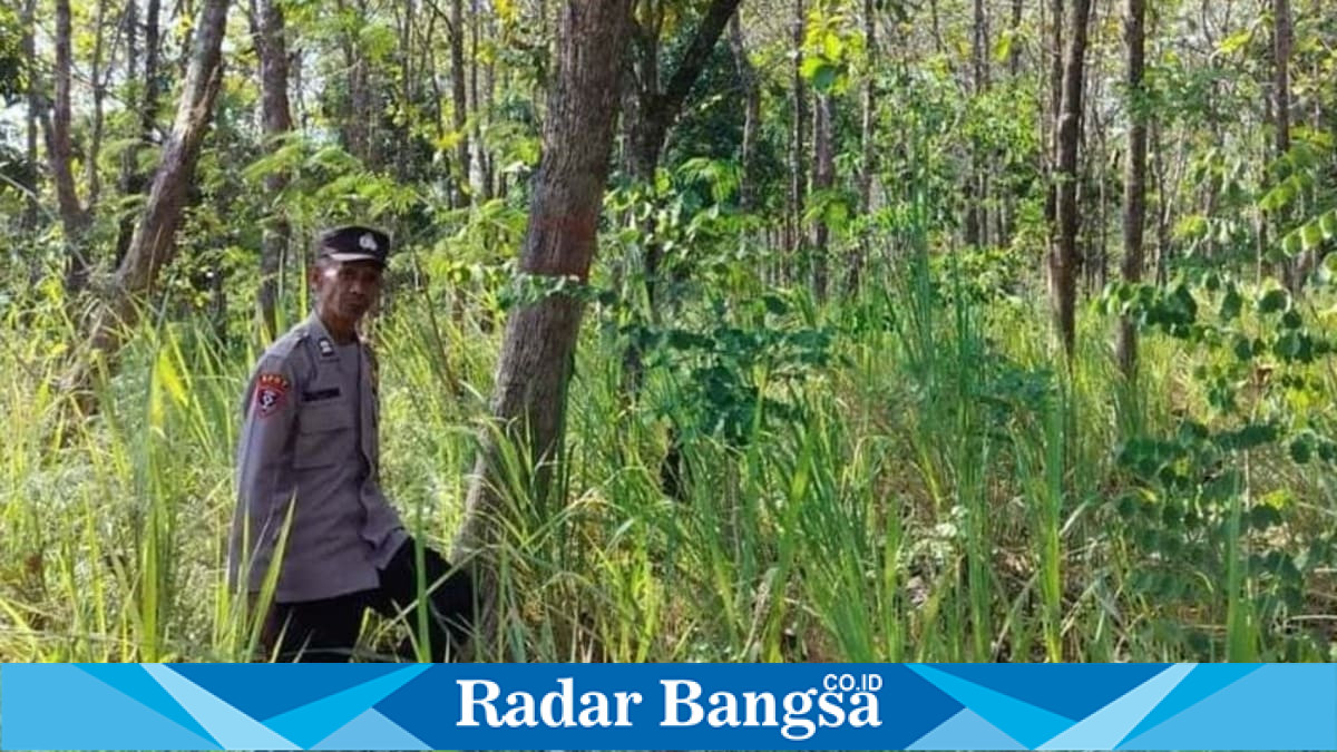 Personel Polsek Laren melaksanakan patroli antisipasi kebakaran hutan dan lahan di kawasan hutan Desa Gampangsejati, Lamongan, Sabtu (1/8/2026). Foto Dok Ho/RadarBangsa.co.id.