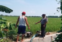 Aiptu Abdul Kholiq bersama warga memantau lahan sawah dalam kegiatan monitoring ketahanan pangan di Kecamatan Tikung, Lamongan, Kamis (6/8/2026). (Foto Dok Ho/RadarBangsa.co.id)