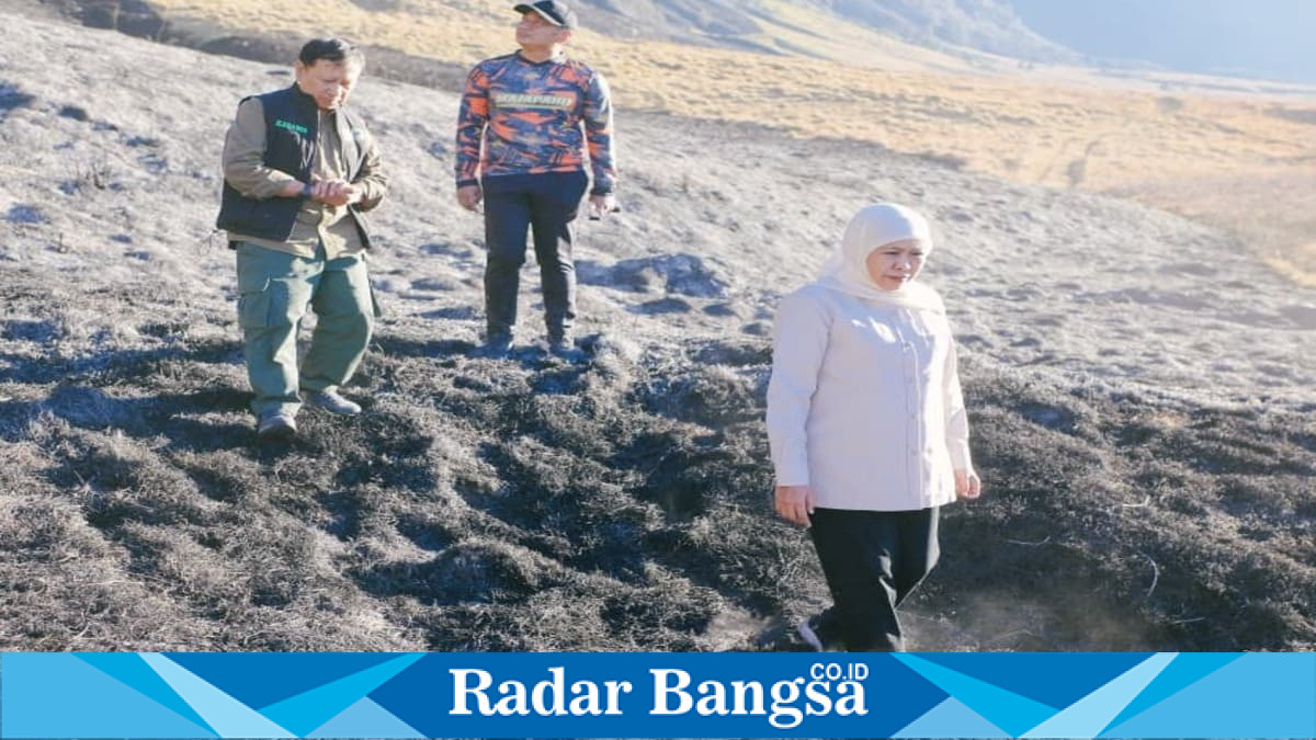 Gubernur Jawa Timur Khofifah Indar Parawansa meninjau penanganan karhutla di kawasan TNBTS, Kabupaten Probolinggo, Jumat (7/8/2026). (Foto Dok Ho/RadarBangsa.co.id)
