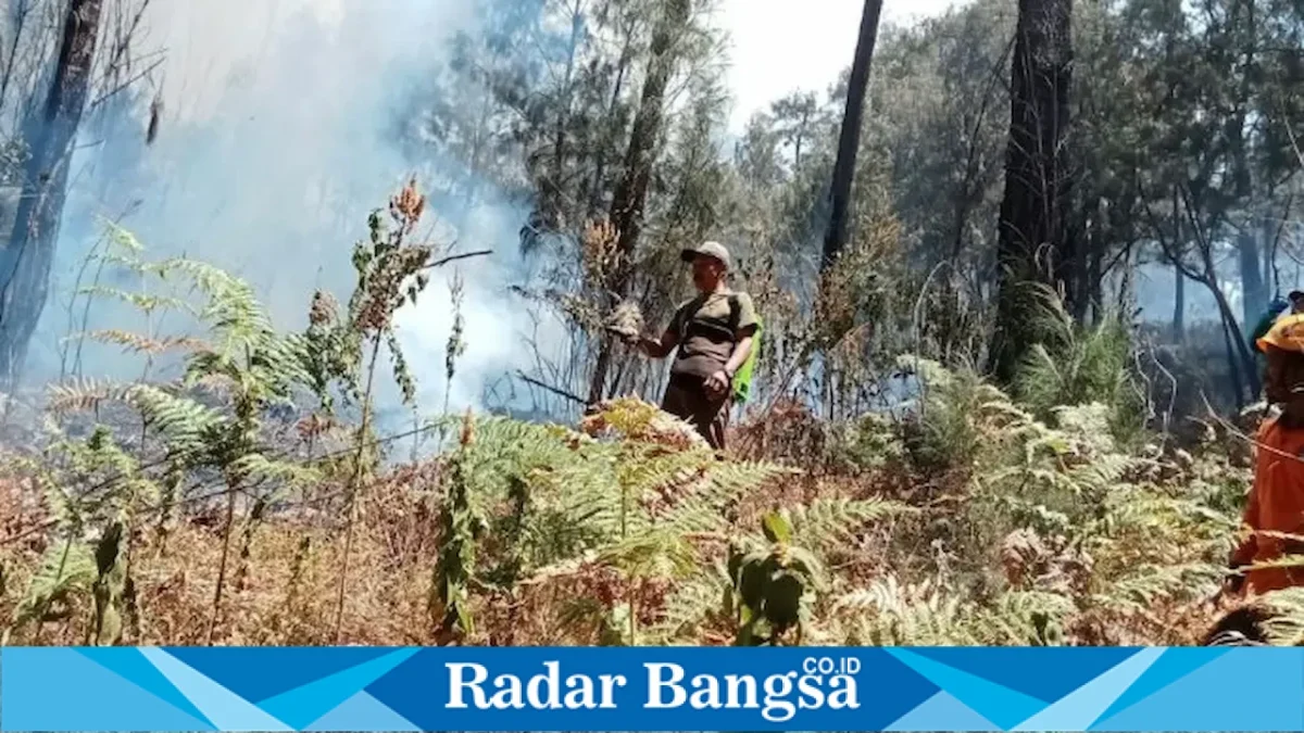 Petugas gabungan melakukan penanganan karhutla di kawasan Tahura R. Soerjo, Gunung Arjuno-Welirang. (Foto Dok Ho/RadarBangsa.co.id)