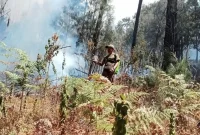 Petugas gabungan melakukan penanganan karhutla di kawasan Tahura R. Soerjo, Gunung Arjuno-Welirang. (Foto Dok Ho/RadarBangsa.co.id)