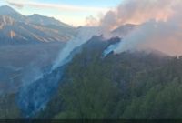 Pemadaman karhutla di kawasan Gunung Bromo, Kabupaten Pasuruan, Minggu (9/8/2026). (Foto Dok Ho/RadarBangsa.co.id)