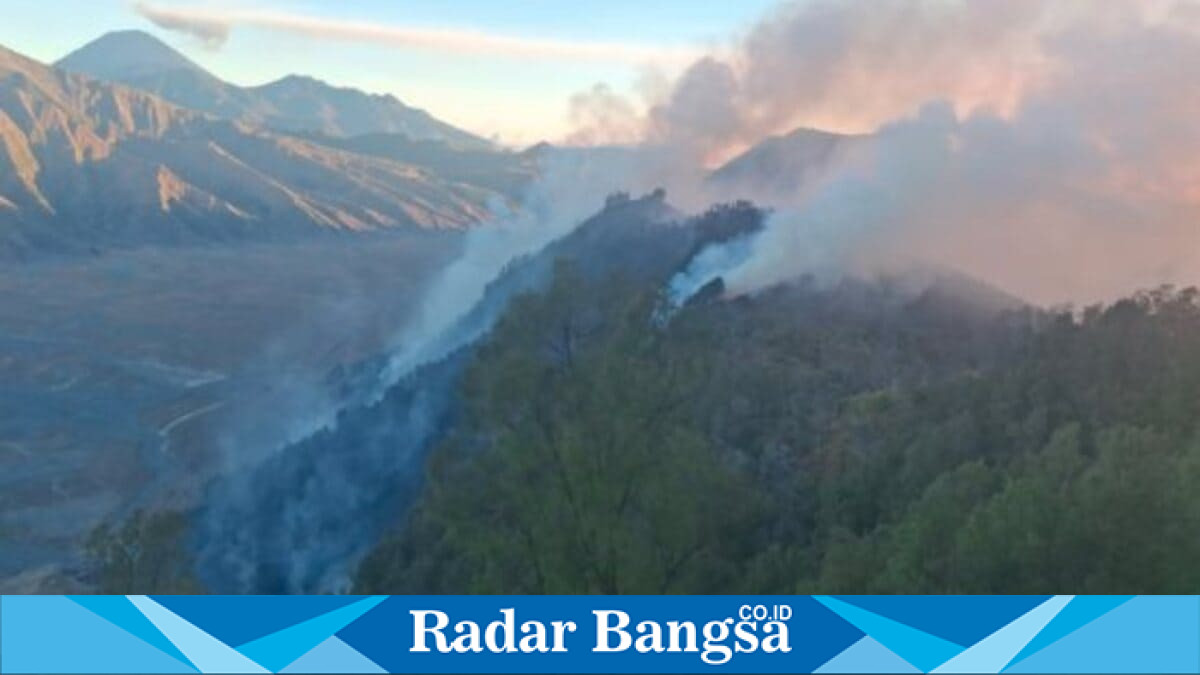 Pemadaman karhutla di kawasan Gunung Bromo, Kabupaten Pasuruan, Minggu (9/8/2026). (Foto Dok Ho/RadarBangsa.co.id)