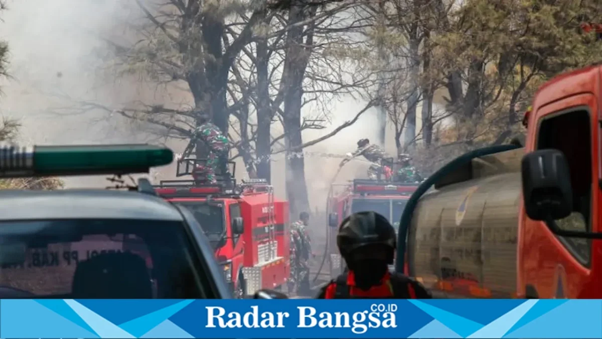 Petugas gabungan melakukan pemadaman karhutla di kawasan TNBTS wilayah Kabupaten Pasuruan, Rabu (12/8/2026). (Foto Dok Ho/RadarBangsa.co.id)
