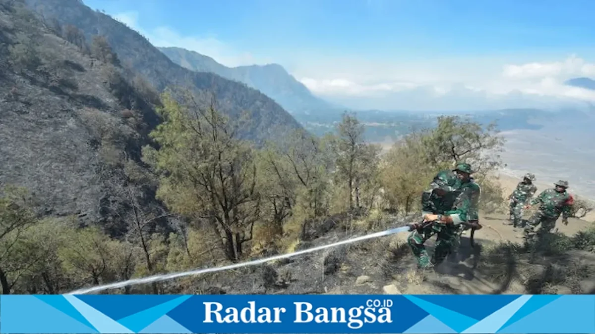Tim gabungan memantau dan melakukan pemadaman karhutla di kawasan Pakis Bincil, Desa Wonokitri, Kecamatan Tosari, Kabupaten Pasuruan, Kamis (13/8/2026). (Foto Dok Ho/RadarBangsa.co.id)