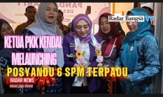Ketua TP PKK Kendal Launching Posyandu 6 SPM Pandansari Satu, Perkuat Layanan Dasar Terpadu