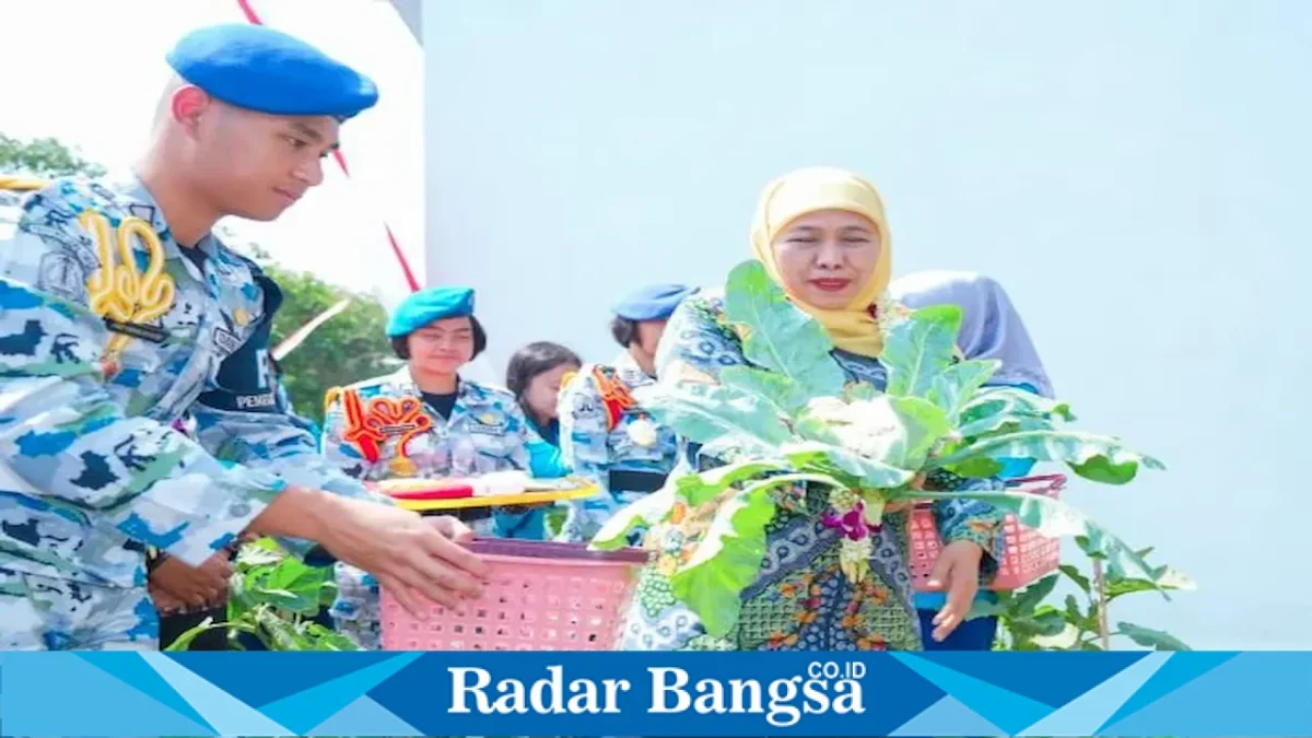 Gubernur Jawa Timur Khofifah Indar Parawansa memanen sayuran Program SIKAP di SMAN Taruna Nala, Kota Malang, Kamis (20/8). (Foto Dok Ho/RadarBangsa.co.id)
