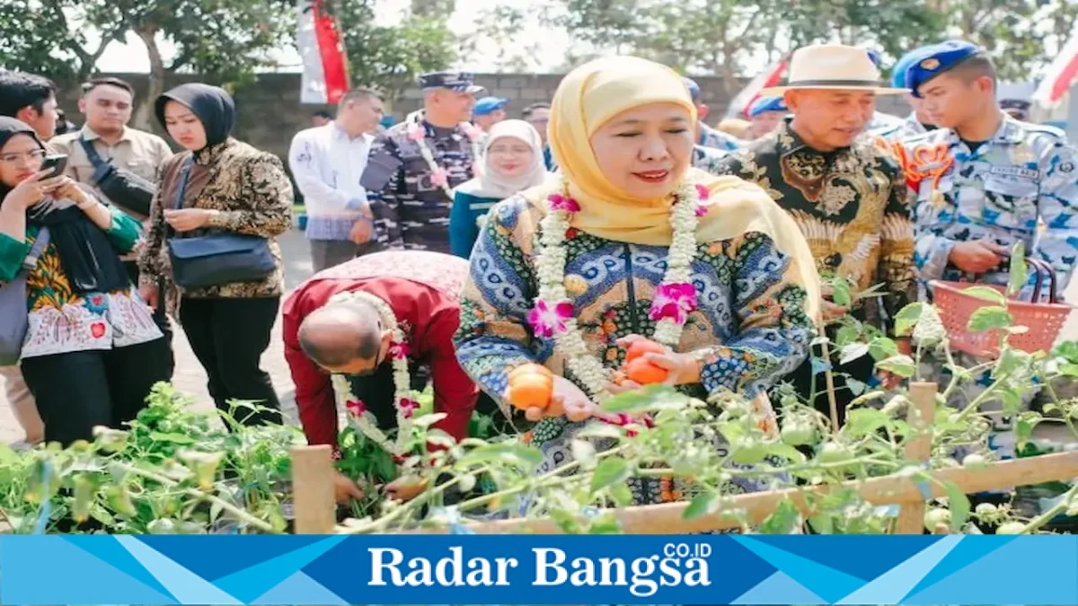 Gubernur Jawa Timur Khofifah Indar Parawansa saat memanen sayuran program SIKAP di SMAN Taruna Nala Jawa Timur, Kota Malang, Kamis (20/8). (Foto Dok Ho/RadarBangsa.co.id)