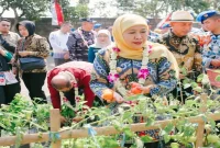 Gubernur Jawa Timur Khofifah Indar Parawansa saat memanen sayuran program SIKAP di SMAN Taruna Nala Jawa Timur, Kota Malang, Kamis (20/8). (Foto Dok Ho/RadarBangsa.co.id)
