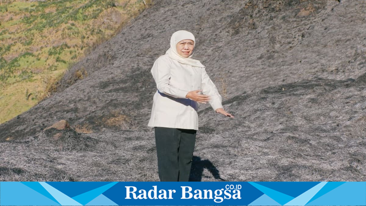 Gubernur Jawa Timur Khofifah Indar Parawansa saat meninjau penanganan karhutla di kawasan TNBTS, Probolinggo, Jumat (7/8/2026). (Foto Dok Ho/RadarBangsa.co.id)