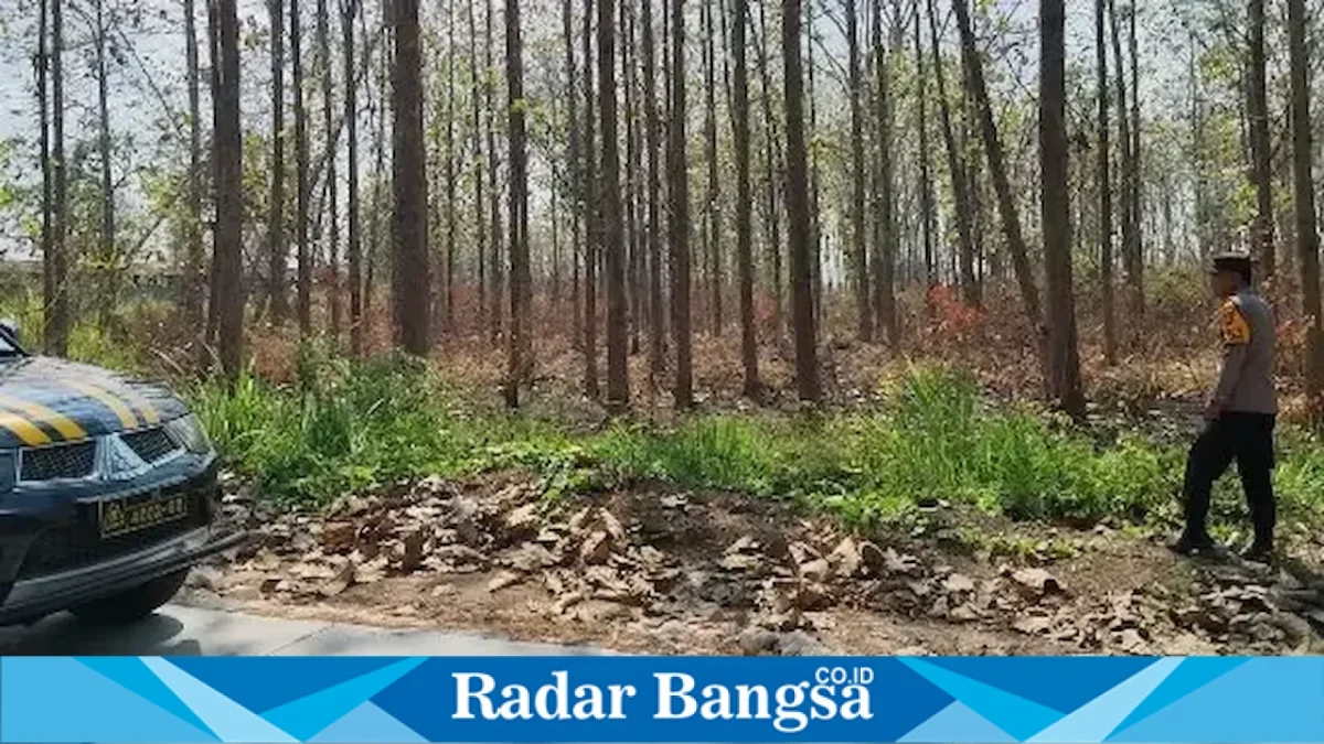 Patroli antisipasi Karhutla di kawasan hutan Desa Gampangsejati, Jumat (21/8/2026). (Foto Dok Ho/RadarBangsa.co.id)