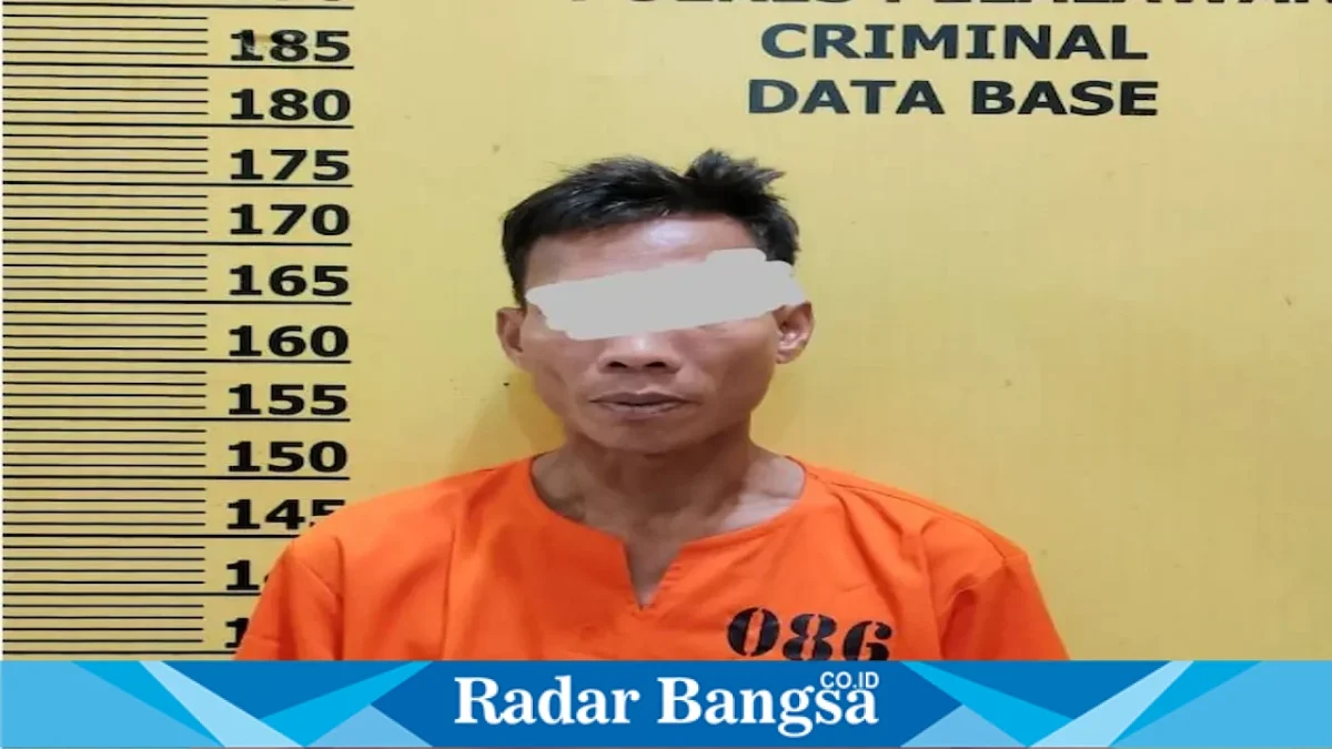 Polsek Langgam mengamankan pria asal Sumatera Utara terkait dugaan tindak pidana narkotika di Langgam, Kabupaten Pelalawan, Kamis (13/8/2026). (Foto Dok Ho/RadarBangsa.co.id) 