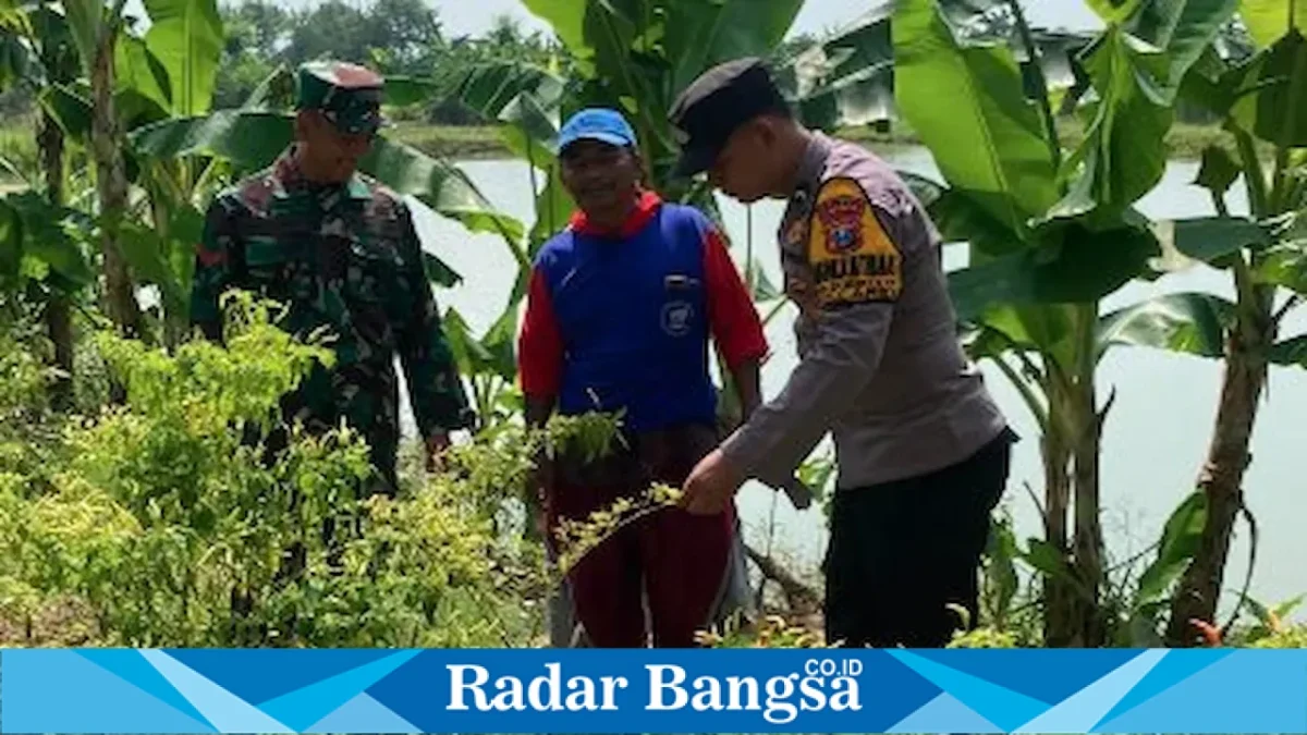 Bhabinkamtibmas Polsek Laren bersama Babinsa memantau tanaman pertanian warga di Desa Pelangwot, Kecamatan Laren, Lamongan, Jumat (14/8/2026). (Foto Dok Ho/RadarBangsa.co.id)