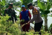 Bhabinkamtibmas Polsek Laren bersama Babinsa memantau tanaman pertanian warga di Desa Pelangwot, Kecamatan Laren, Lamongan, Jumat (14/8/2026). (Foto Dok Ho/RadarBangsa.co.id)
