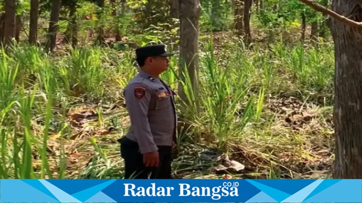 Petugas Polsek Laren melaksanakan patroli KRYD untuk mengantisipasi karhutla di kawasan hutan Desa Gelap, Jumat (14/8/2026). (Foto Dok Ho/RadarBangsa.co.id)
