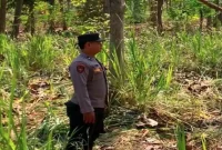 Petugas Polsek Laren melaksanakan patroli KRYD untuk mengantisipasi karhutla di kawasan hutan Desa Gelap, Jumat (14/8/2026). (Foto Dok Ho/RadarBangsa.co.id)
