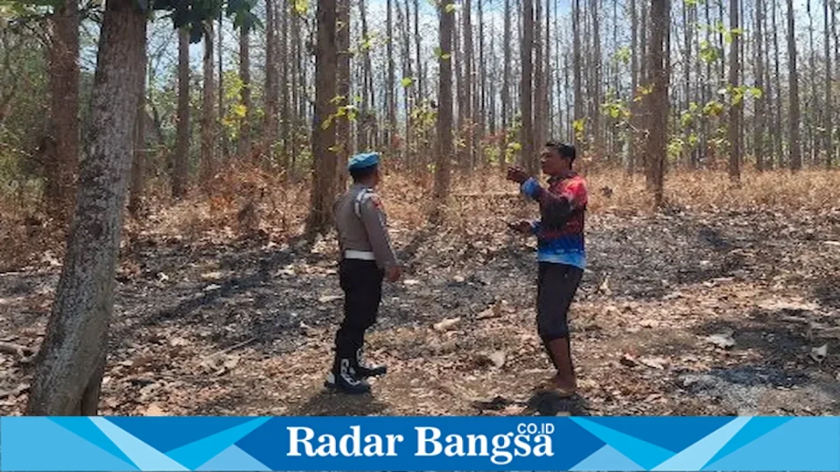 Polsek Laren bersama Perhutani patroli hutan Gampangsejati, Minggu (30/8). (Dok Ho/RadarBangsa.co.id)